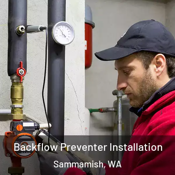  Backflow Preventer Installation Sammamish, WA