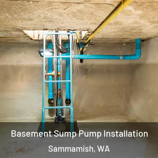  Basement Sump Pump Installation Sammamish, WA