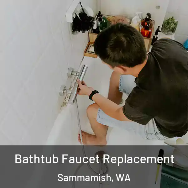  Bathtub Faucet Replacement Sammamish, WA