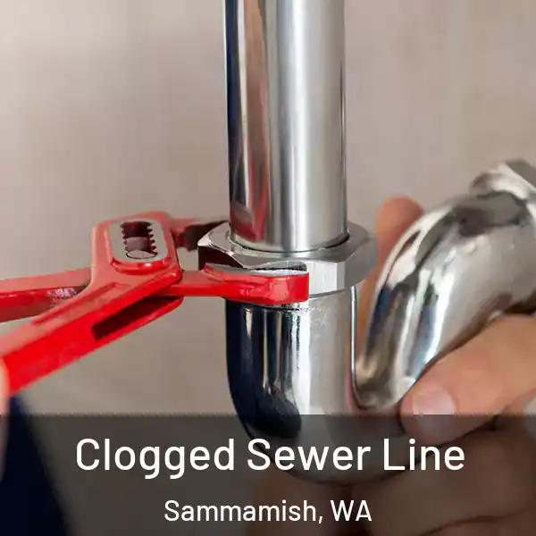  Clogged Sewer Line Sammamish, WA