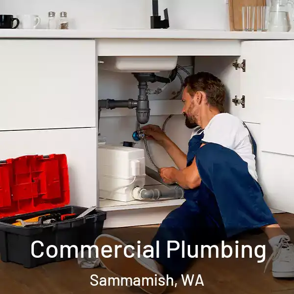  Commercial Plumbing Sammamish, WA