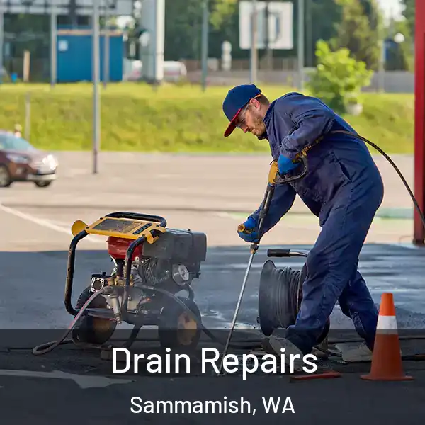  Drain Repairs Sammamish, WA