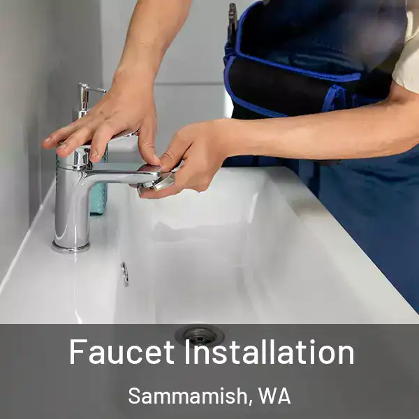  Faucet Installation Sammamish, WA