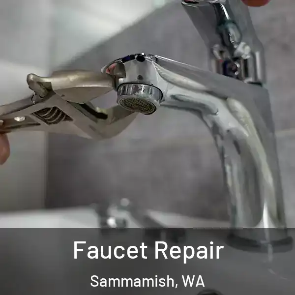  Faucet Repair Sammamish, WA