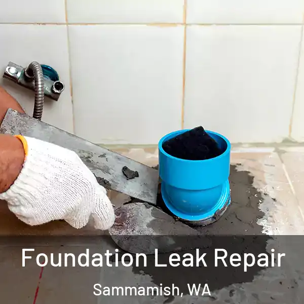  Foundation Leak Repair Sammamish, WA