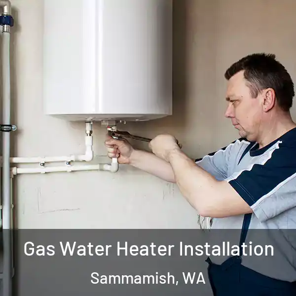  Gas Water Heater Installation Sammamish, WA