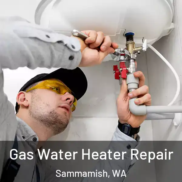  Gas Water Heater Repair Sammamish, WA