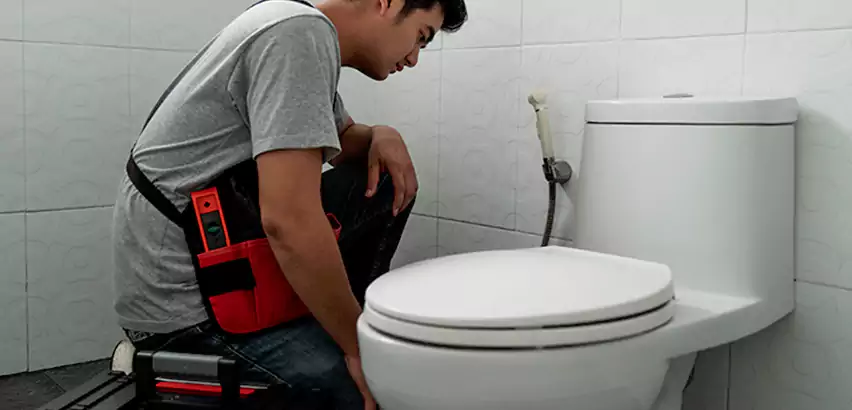 Toilet Repair in Sammamish