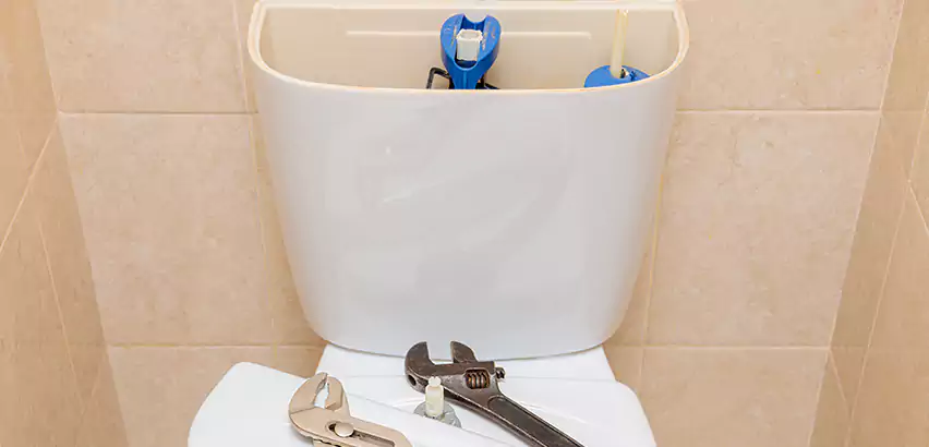 Upflush Toilet Installation in Sammamish