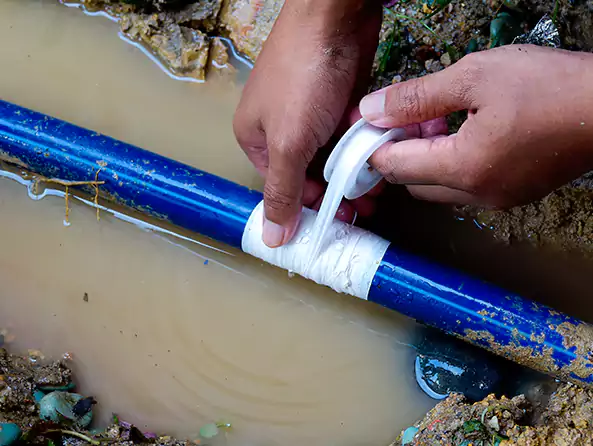  Why Choose Fox Plumbing Sammamish for Leak Detection in Sammamish, WA?]