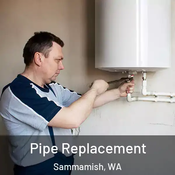  Pipe Replacement Sammamish, WA