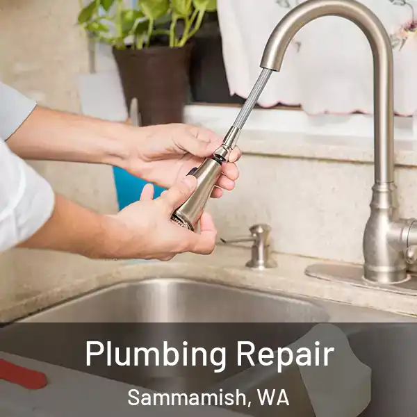  Plumbing Repair Sammamish, WA