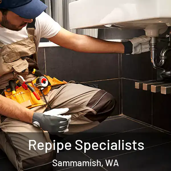  Repipe Specialists Sammamish, WA