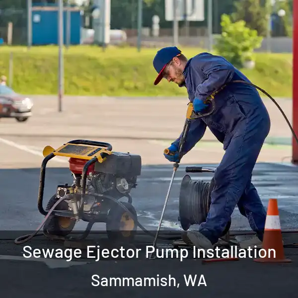  Sewage Ejector Pump Installation Sammamish, WA