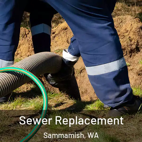  Sewer Replacement Sammamish, WA