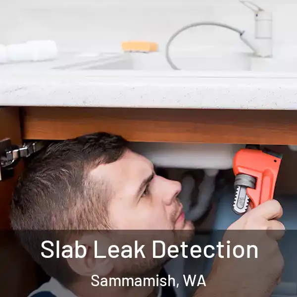  Slab Leak Detection Sammamish, WA