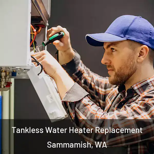 Tankless Water Heater Replacement Sammamish, WA