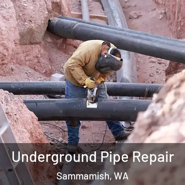  Underground Pipe Repair Sammamish, WA