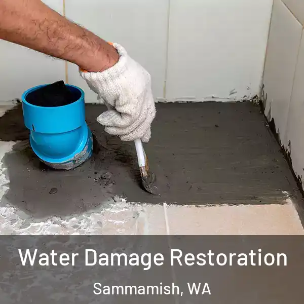 Water Damage Restoration Sammamish, WA