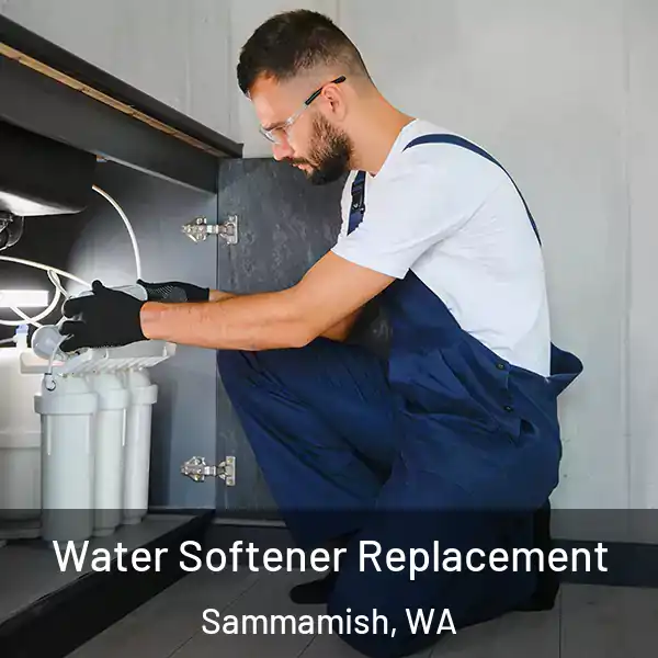  Water Softener Replacement Sammamish, WA