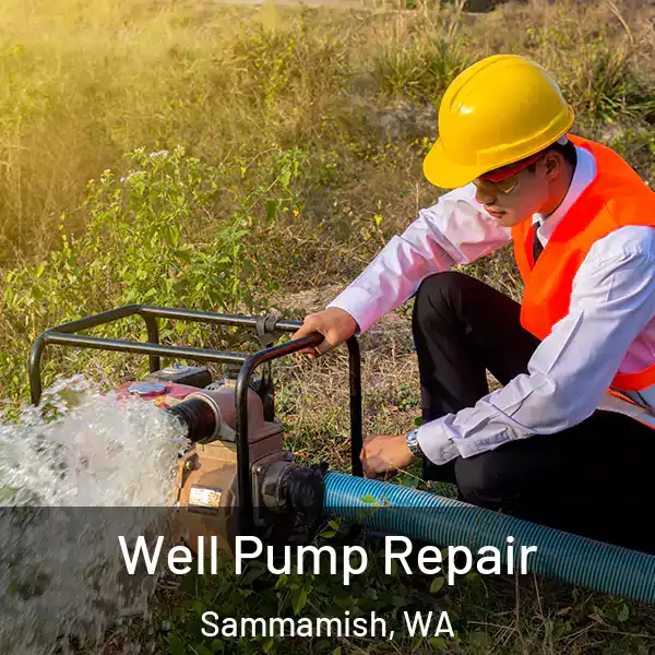  Well Pump Repair Sammamish, WA