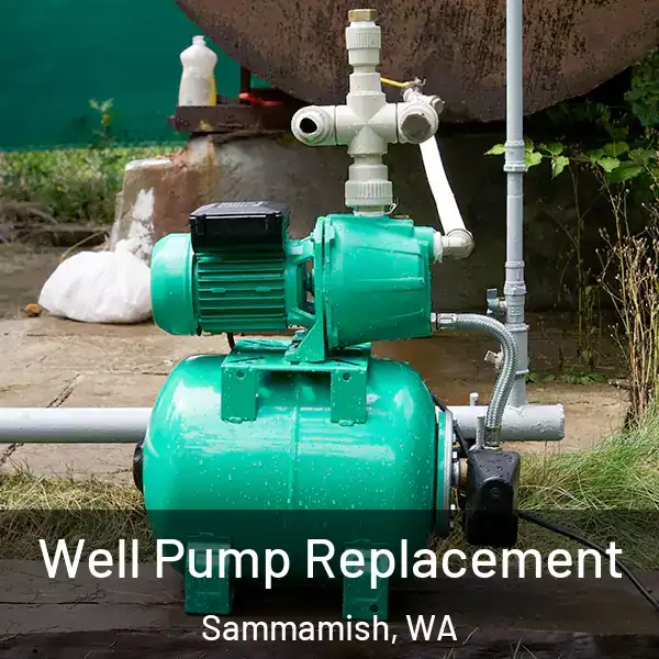  Well Pump Replacement Sammamish, WA